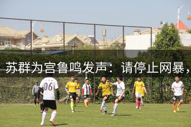 苏群为宫鲁鸣发声：请停止网暴，给予公正评价